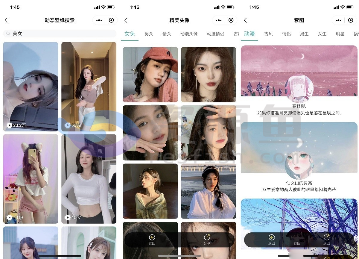 图片[2]Windows-安卓-Mac-ios-实用-破解-软件-资源-教程-分享-云开发壁纸小程序源码/新版大气UI微信QQ双端壁纸小程序源码Windows-安卓-Mac-ios-实用-破解-软件-资源-教程-分享-资源鱼