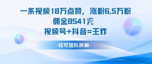 一条视频18W点赞,涨粉6.5W粉佣金8541米,视频号+抖音=王炸Windows-安卓-Mac-ios-实用-破解-软件-资源-教程-分享-资源鱼